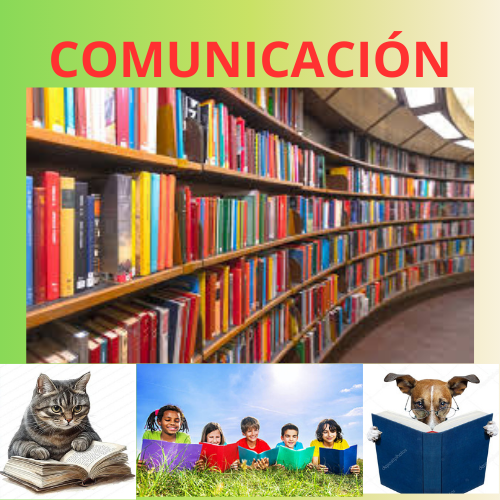 Aula virtual leng.lit.